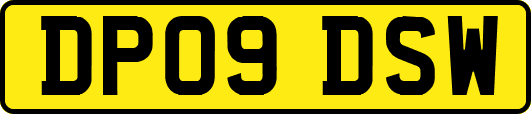 DP09DSW