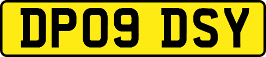 DP09DSY