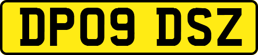 DP09DSZ