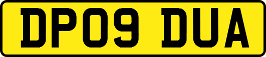 DP09DUA