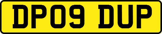 DP09DUP