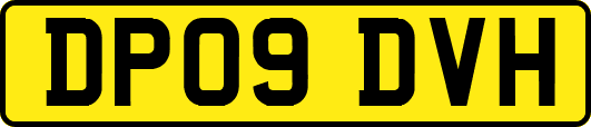 DP09DVH