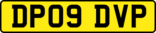 DP09DVP
