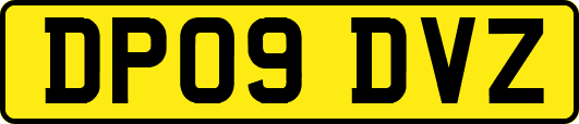 DP09DVZ