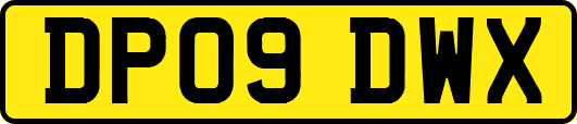 DP09DWX