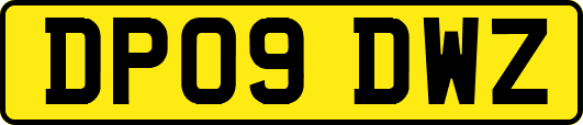 DP09DWZ
