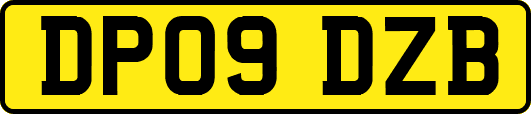 DP09DZB