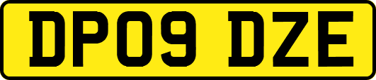 DP09DZE