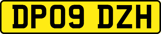 DP09DZH