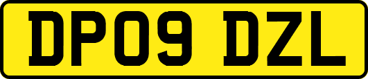 DP09DZL