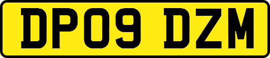 DP09DZM