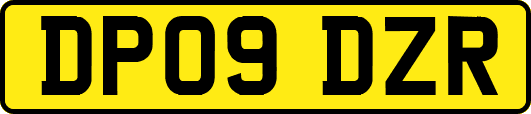 DP09DZR