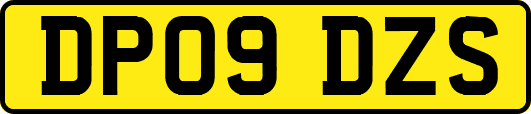 DP09DZS
