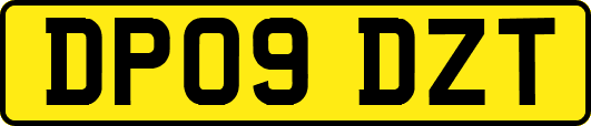 DP09DZT