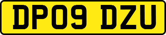 DP09DZU