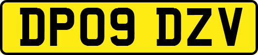 DP09DZV
