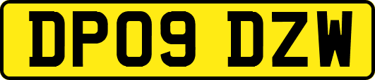 DP09DZW