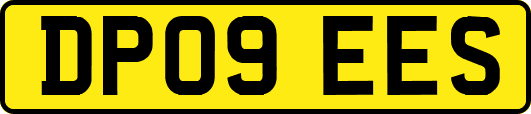 DP09EES