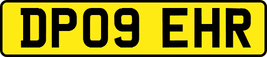 DP09EHR