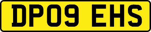 DP09EHS