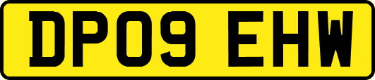 DP09EHW