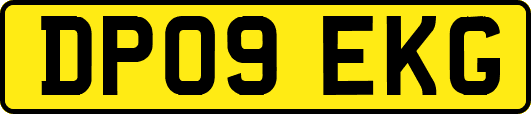 DP09EKG