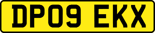 DP09EKX