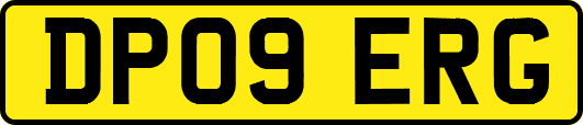 DP09ERG