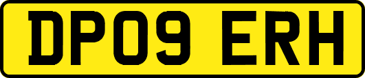 DP09ERH