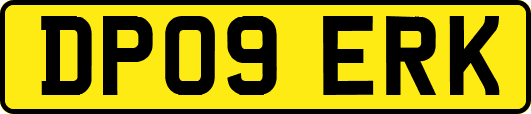 DP09ERK