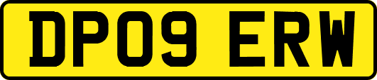DP09ERW