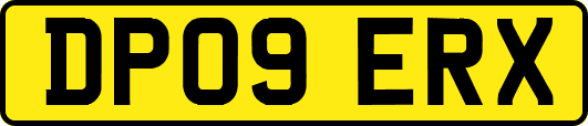 DP09ERX