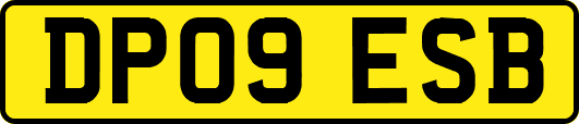 DP09ESB