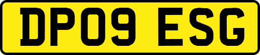 DP09ESG
