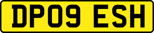 DP09ESH