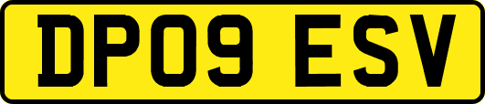 DP09ESV