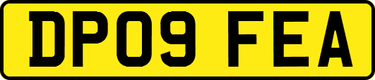 DP09FEA
