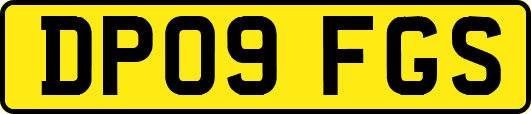 DP09FGS