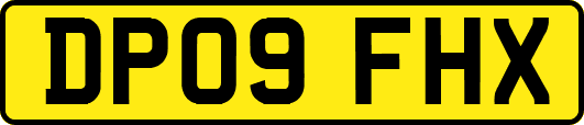 DP09FHX