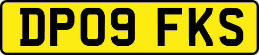 DP09FKS