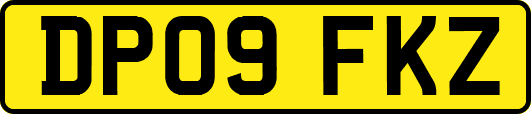 DP09FKZ