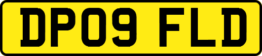 DP09FLD