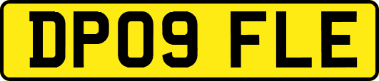 DP09FLE