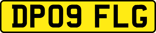 DP09FLG