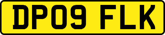 DP09FLK