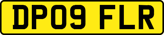 DP09FLR