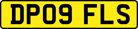 DP09FLS