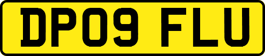 DP09FLU