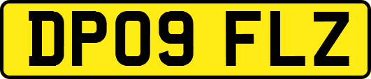 DP09FLZ