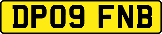 DP09FNB